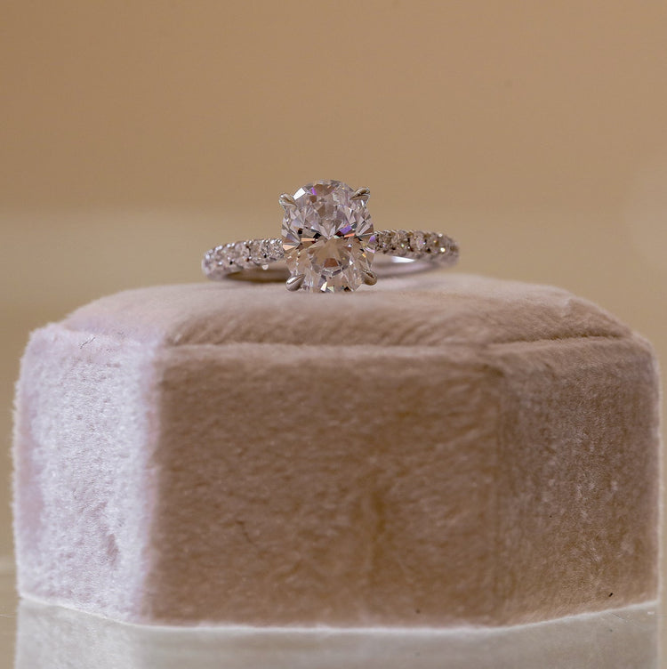 2025 Platinum Oval French-Set Cathedral w/ Hidden Halo Diamond Ring