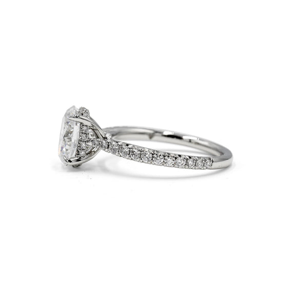 2025 Platinum Oval French-Set Cathedral w/ Hidden Halo Diamond Ring
