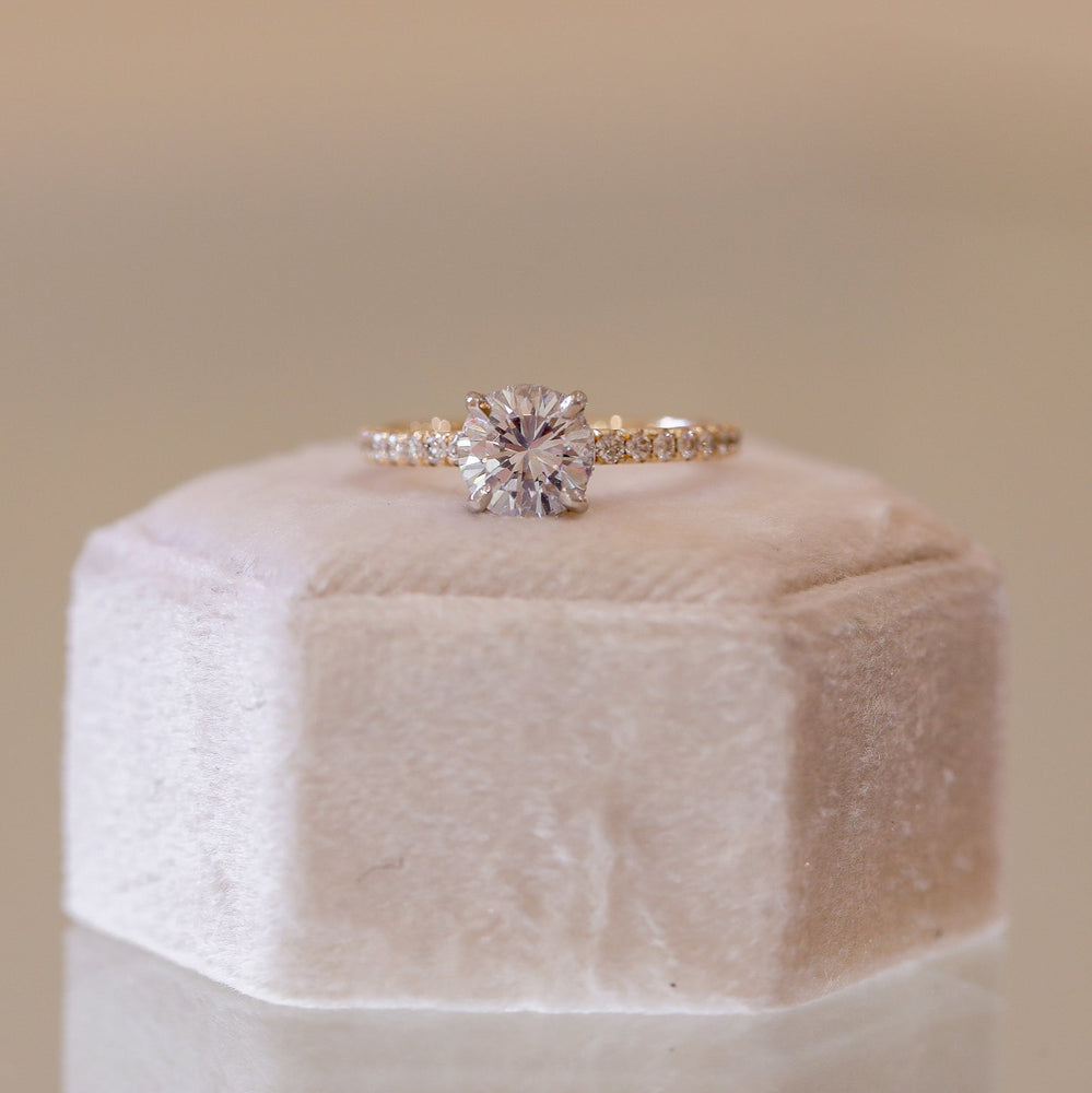 14ky French Set with Platinum Hidden Halo Diamond Ring