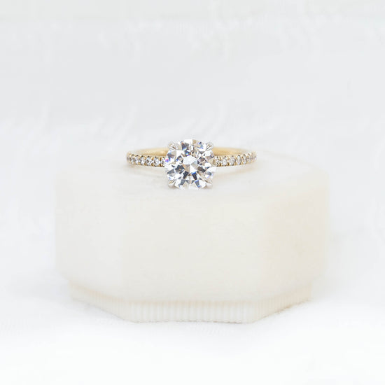 14ky French Set with Platinum Hidden Halo Diamond Ring