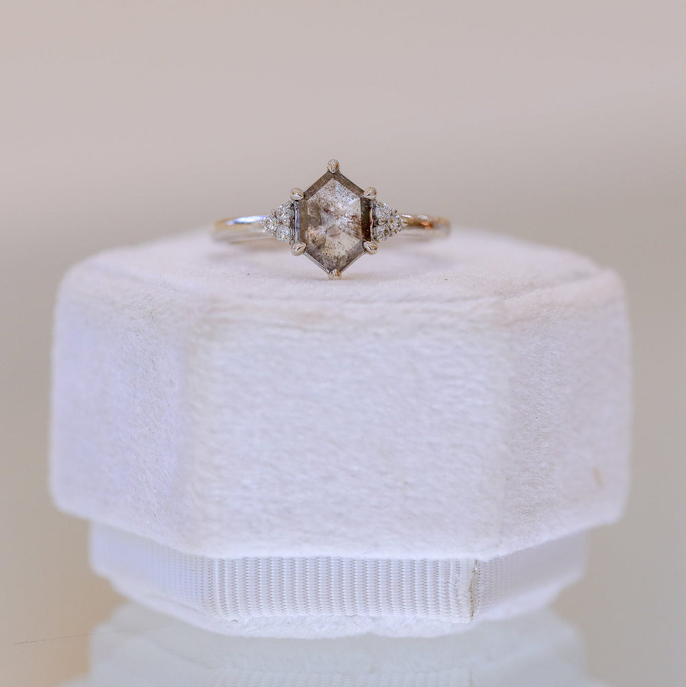 14kw 1.04ct Hexagon Salt & Pepper 