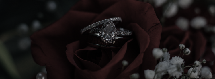 Image Banner