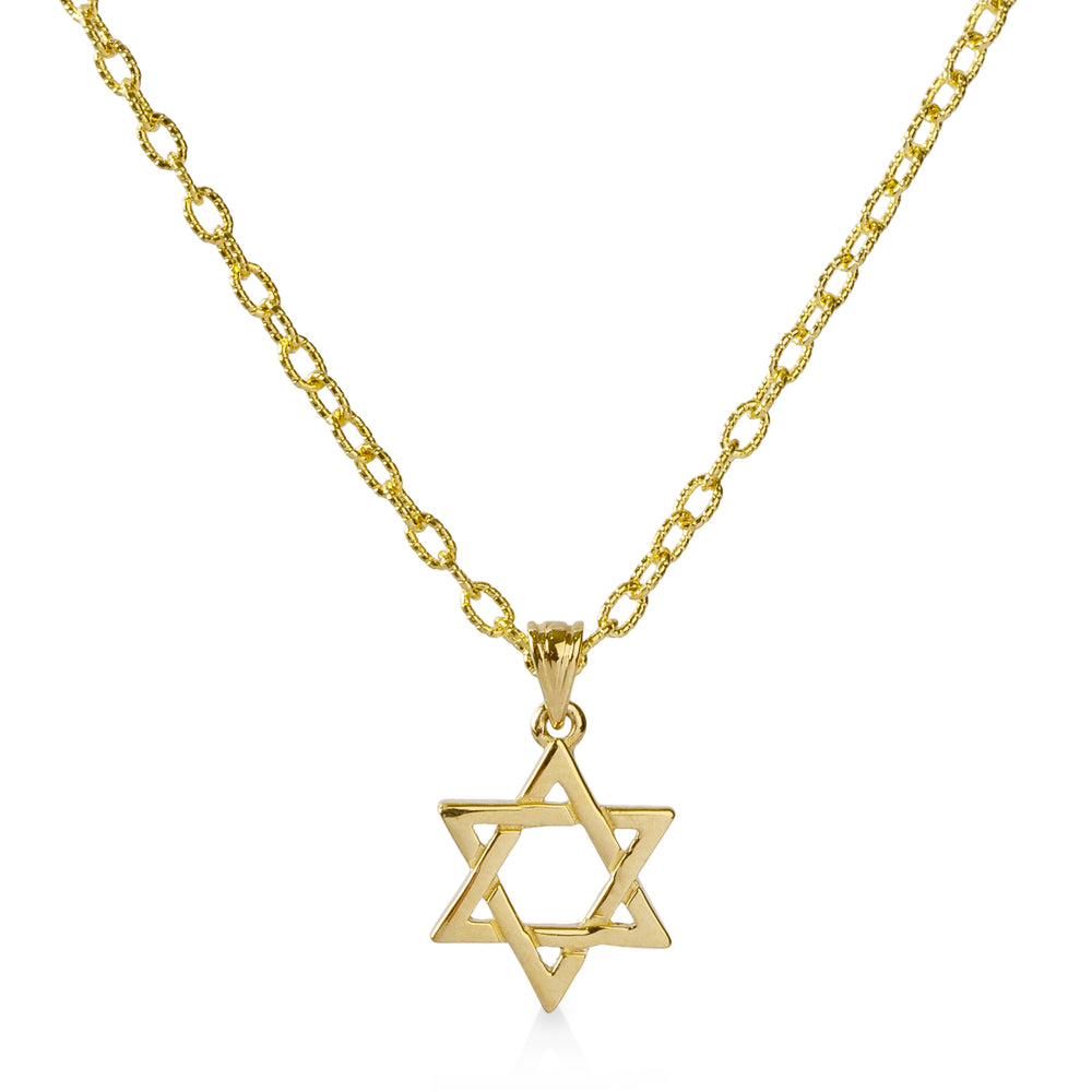 14ky Small Star of David & Chain Custom Necklace